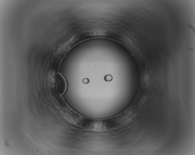 X0000100960264200806241534