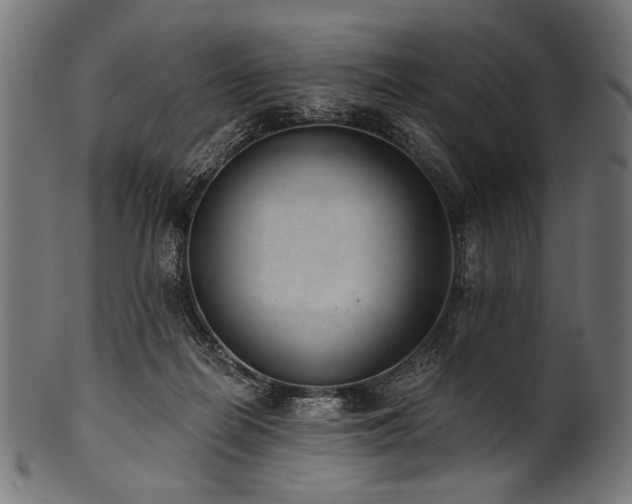 X0000100960266200806241534