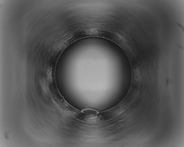 X0000100960267200806241534