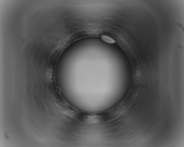 X0000100960268200806241534