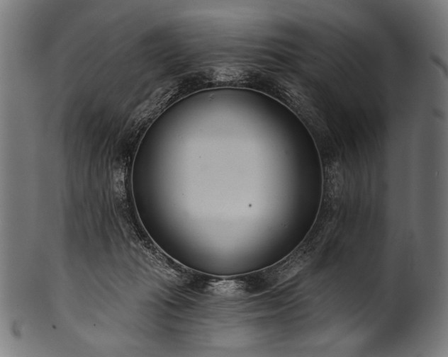 X0000100960269200806241534