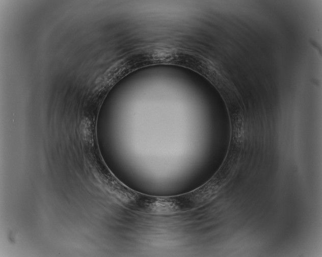 X0000100960270200806241534