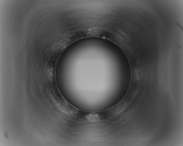 X0000100960271200806241534