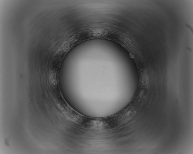 X0000100960272200806241534