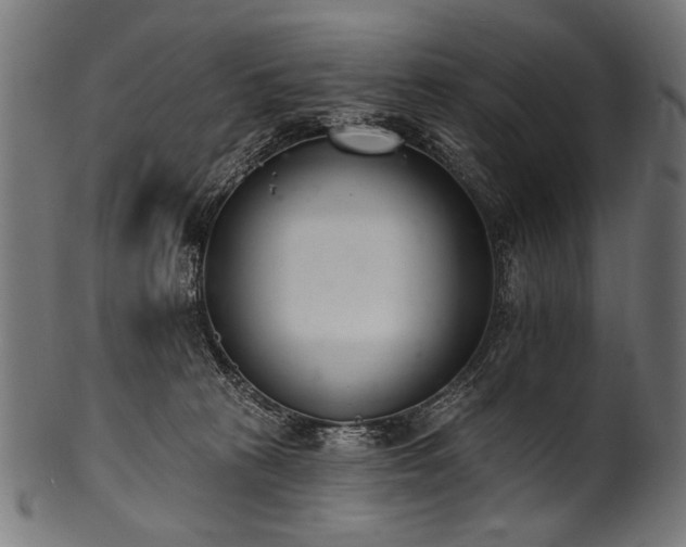 X0000100960273200806241534