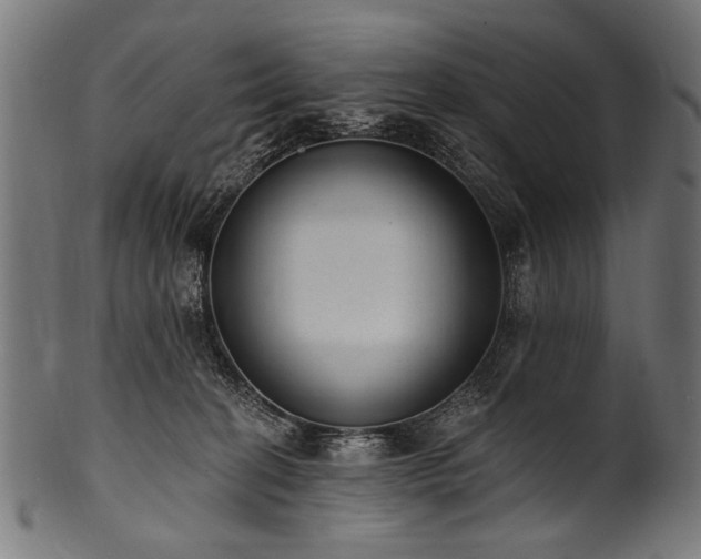 X0000100960274200806241534