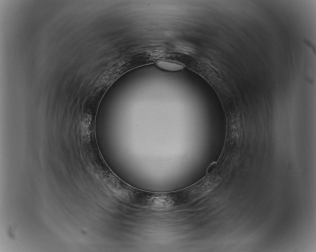 X0000100960275200806241534