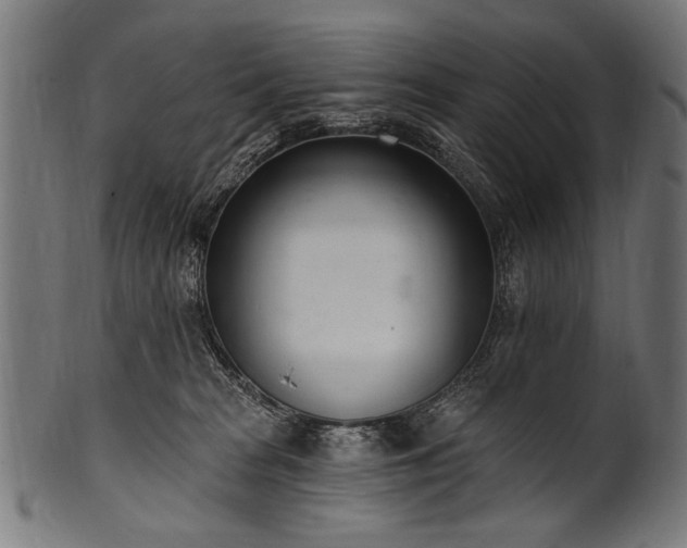 X0000100960277200806241534