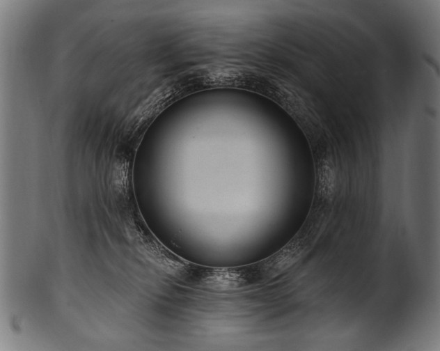 X0000100960278200806241534