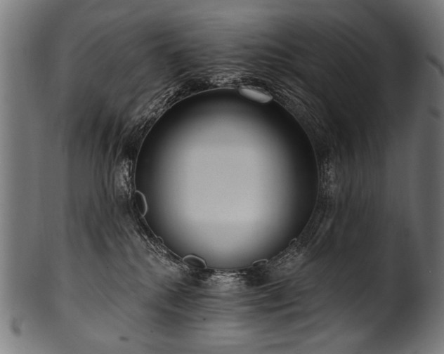 X0000100960280200806241534