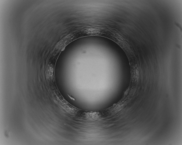 X0000100960281200806241534