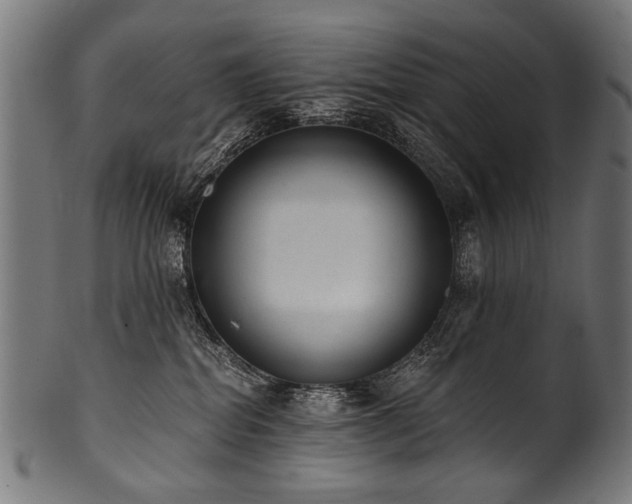X0000100960282200806241534