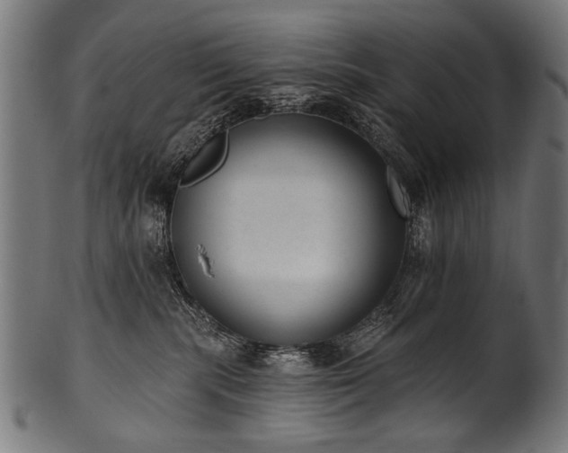 X0000100960283200806241534