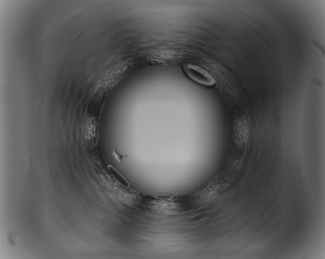 X0000100960284200806241534