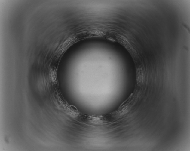 X0000100960285200806241534