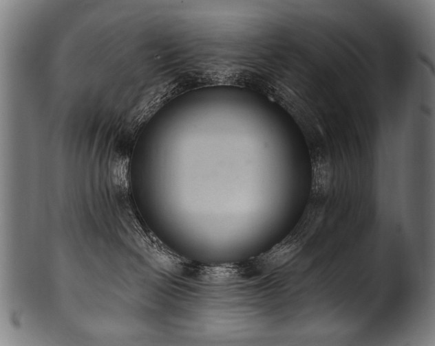 X0000100960286200806241534