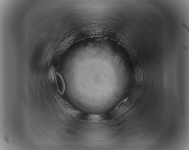 X0000100960287200806241534