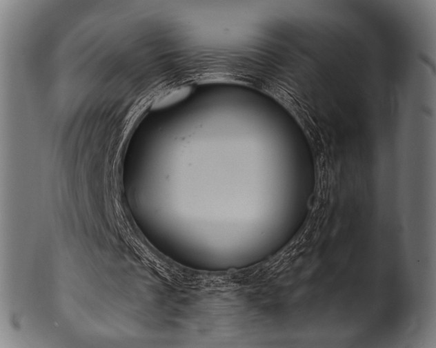 X0000100960289200806241534