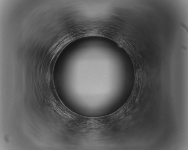 X0000100960290200806241534