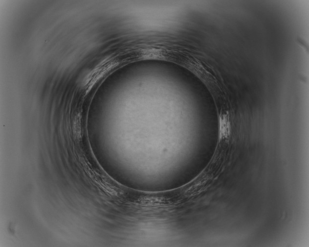 X0000100960291200806241534
