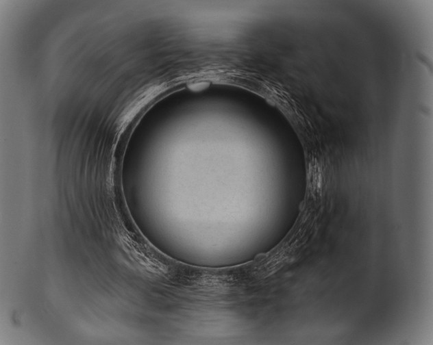 X0000100960292200806241534