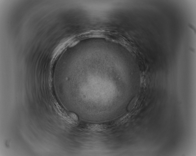 X0000100960293200806241534