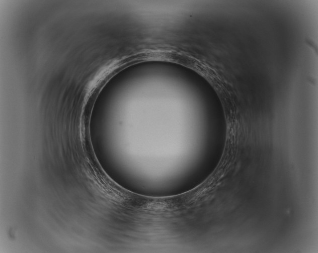 X0000100960294200806241534