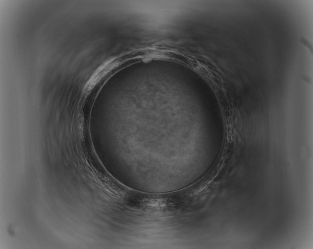 X0000100960295200806241533