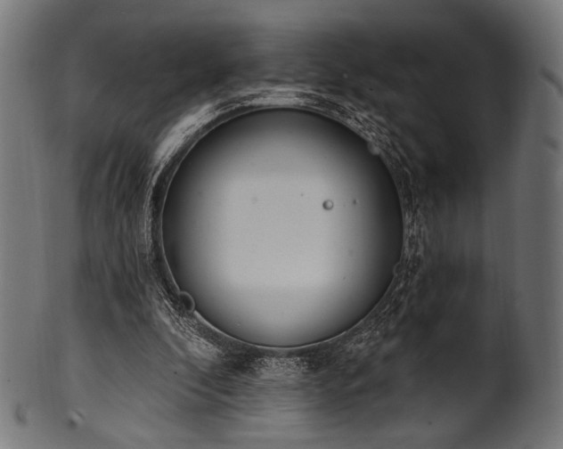 X0000100960296200806241533