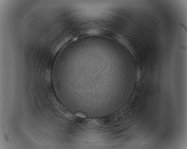 X0000100960297200806241533