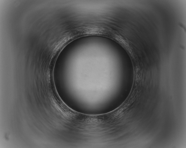X0000100960298200806241533