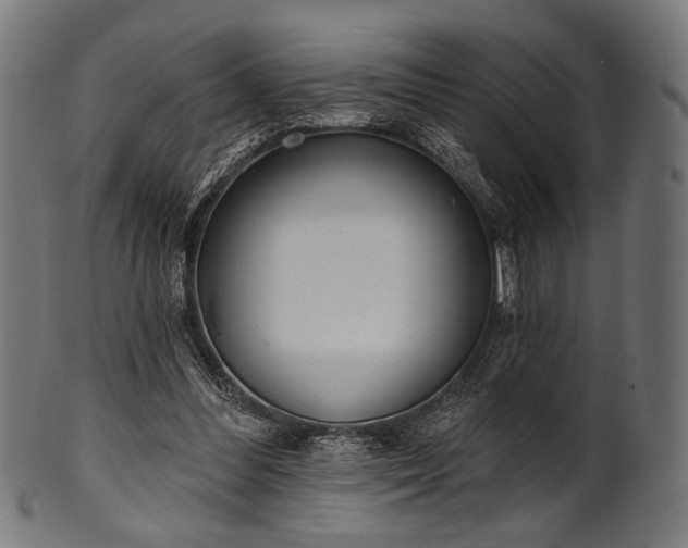 X0000100960300200806241533
