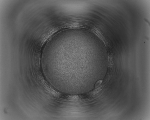 X0000100960301200806241533