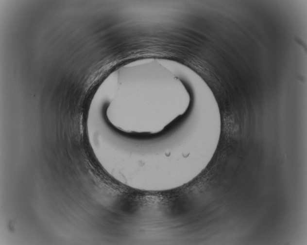 X0000100960302200806241533