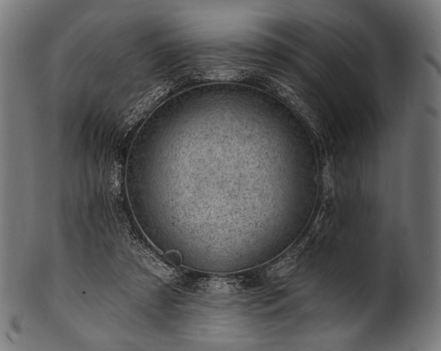 X0000100960305200806241533