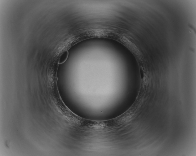 X0000100960306200806241533