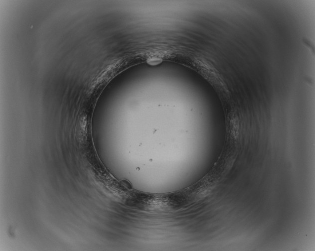 X0000100960308200806241533