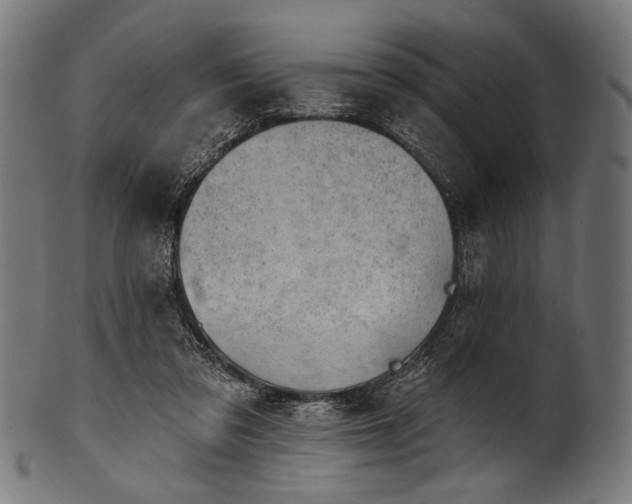 X0000100960309200806241533