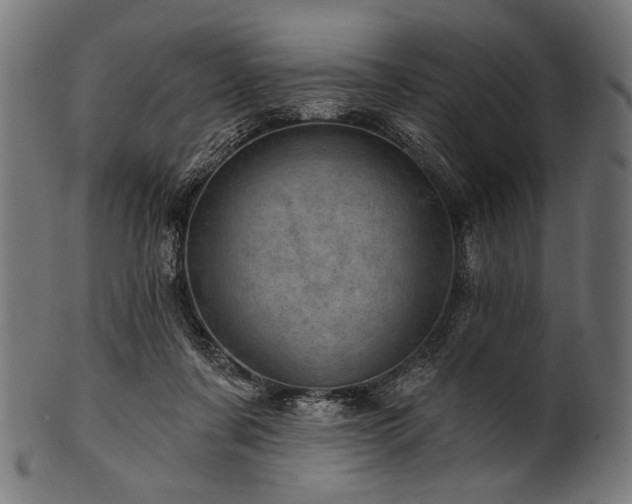 X0000100960311200806241533