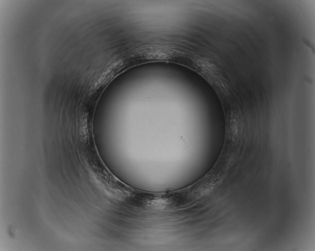 X0000100960312200806241533