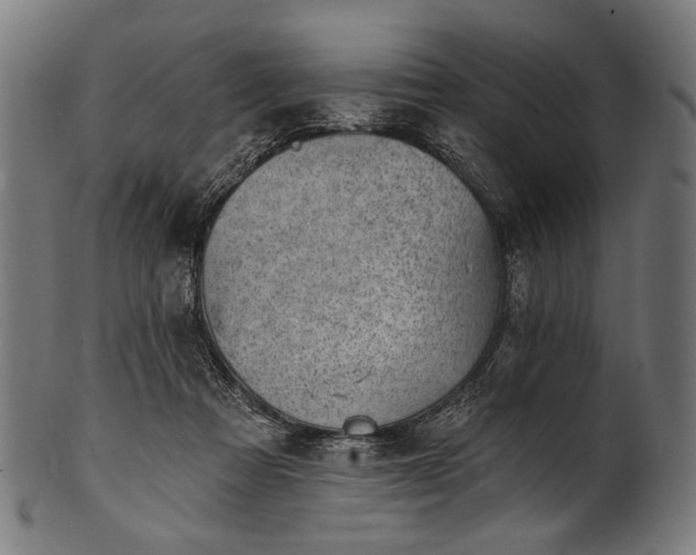 X0000100960313200806241533