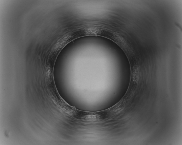 X0000100960314200806241533
