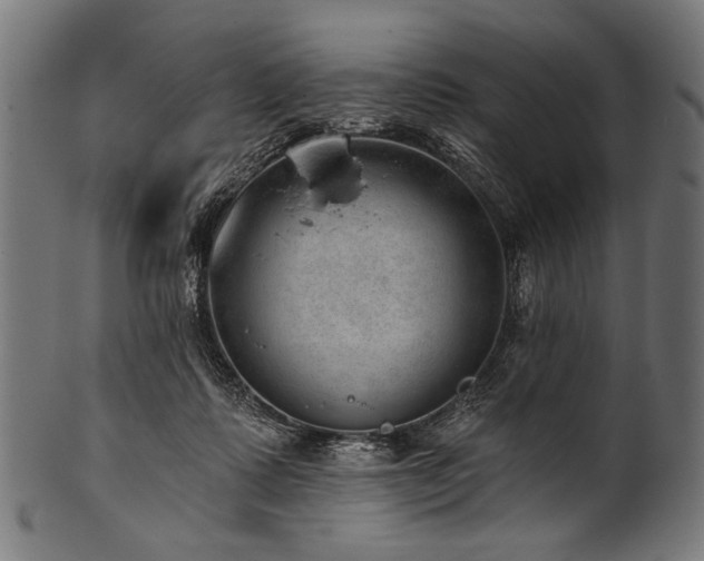 X0000100960315200806241533