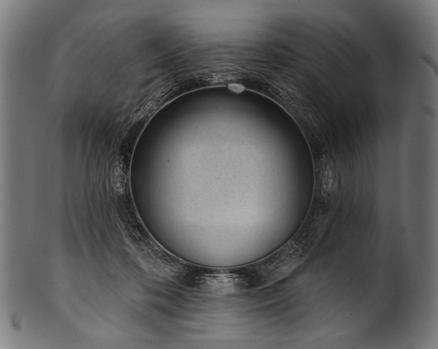 X0000100960316200806241533