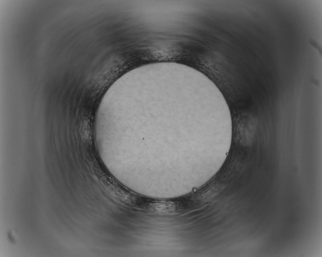 X0000100960317200806241533