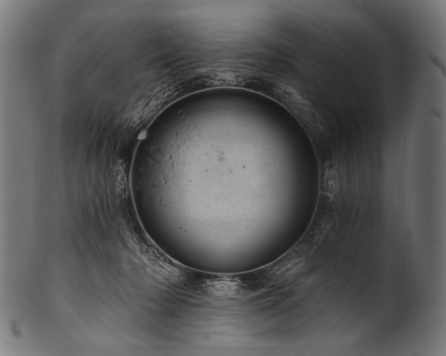X0000100960318200806241533