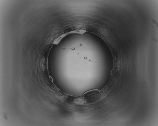 X0000100960319200806241533