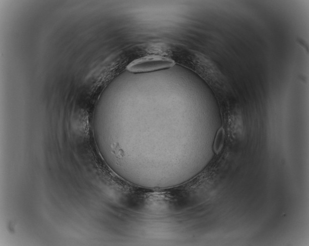 X0000100960320200806241533