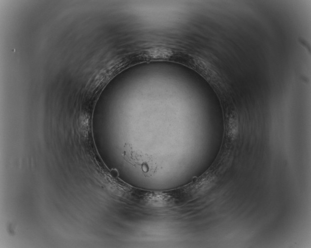 X0000100960321200806241533