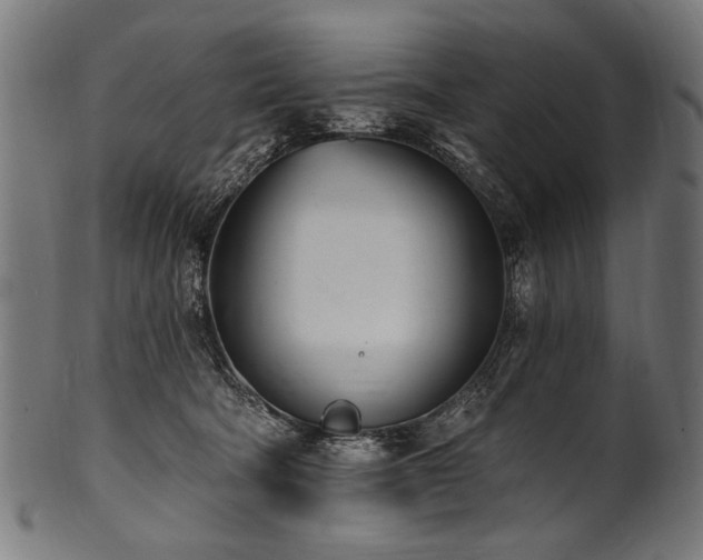 X0000100960322200806241533